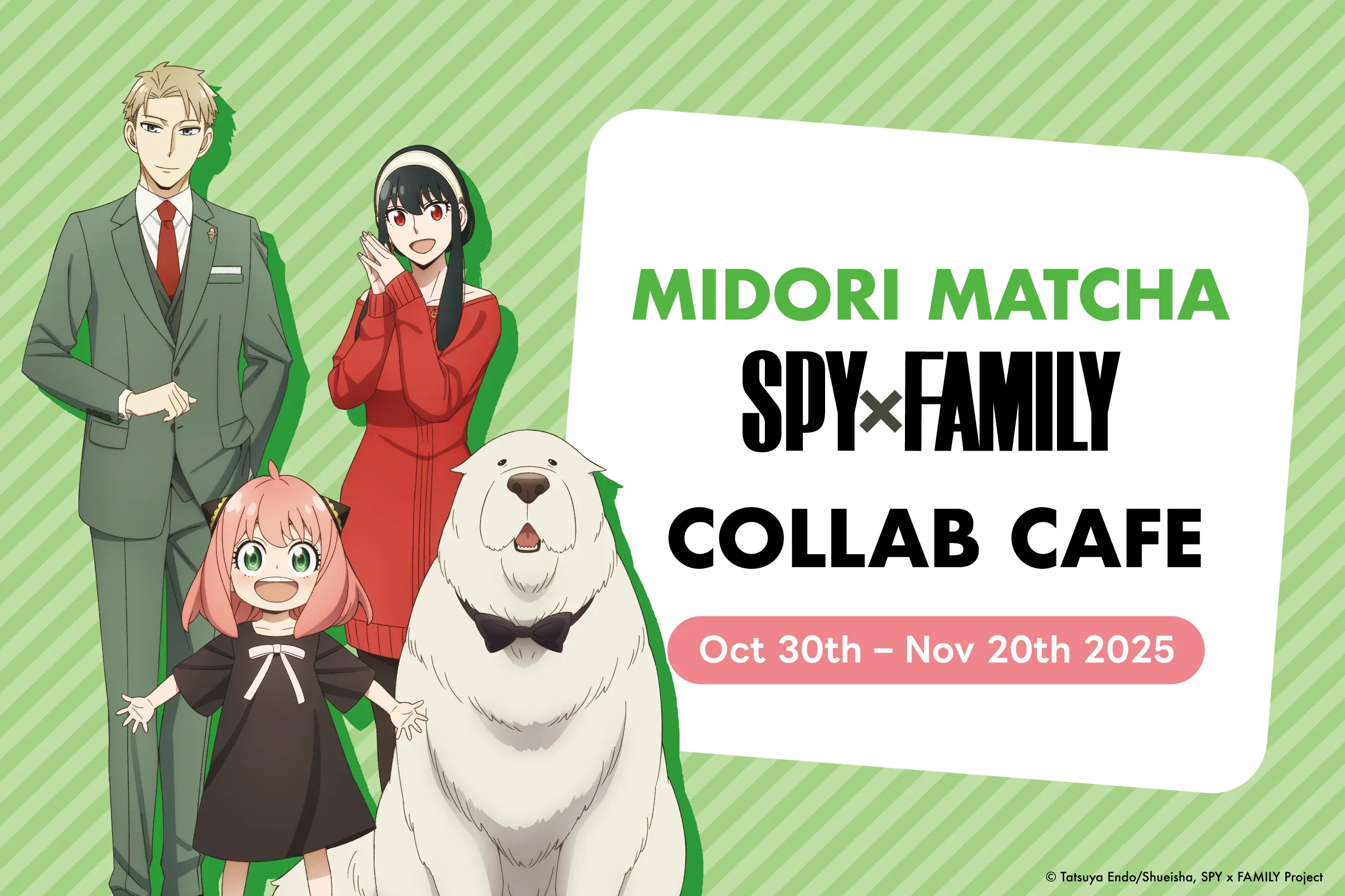 Spy x Family Midori Matcha Anique collaboration door sign